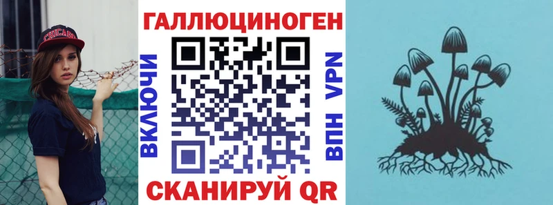 Купить  Дубовка  Галлюциногенные грибы мухоморы 